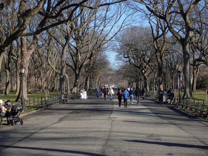NYC_2024-02-03 09-47-55_RX_06925